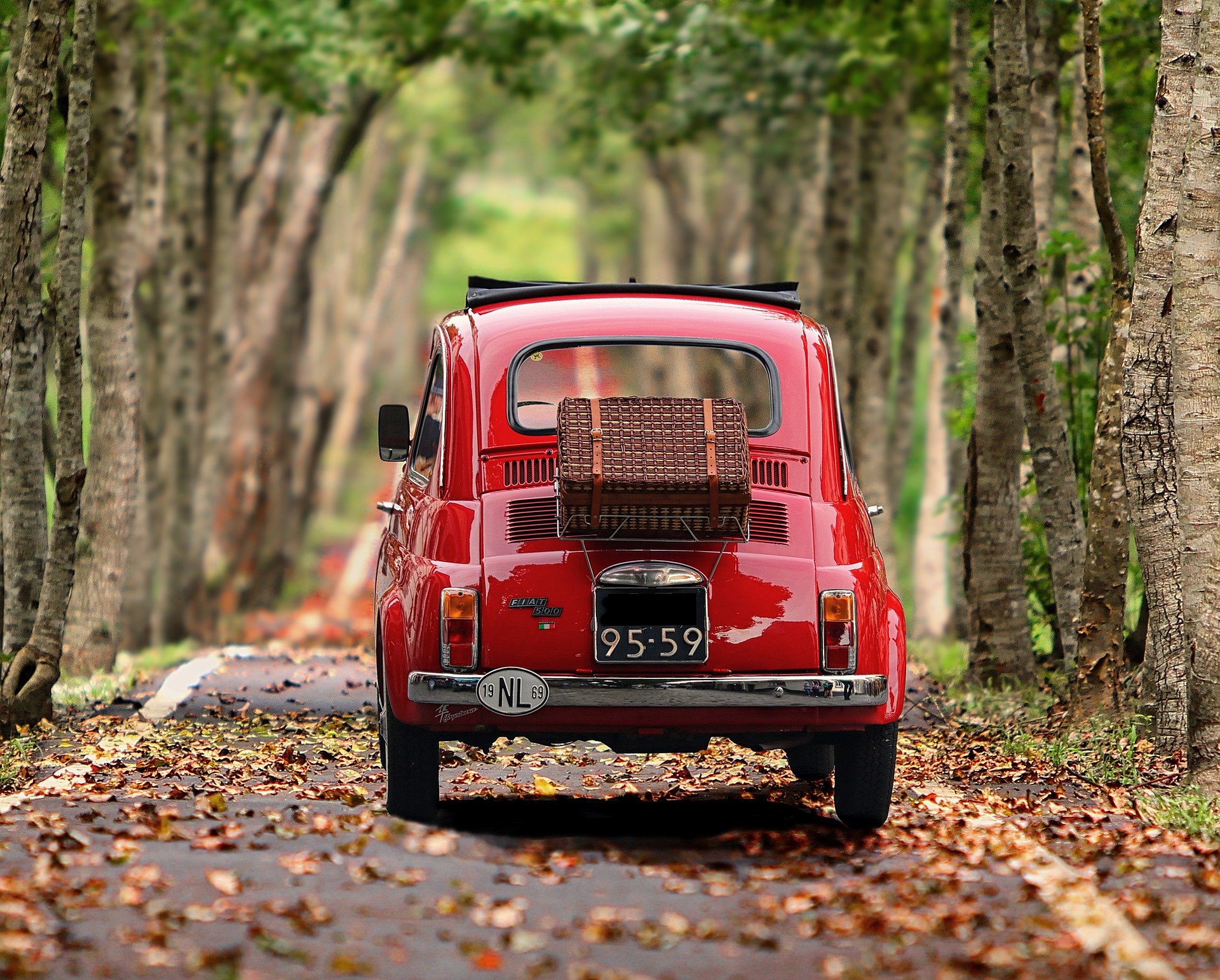 Une voiture rouge roulant dans un bois
